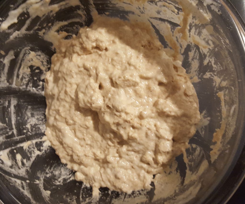 sourdough bread leaven